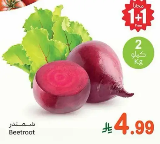 شمندر