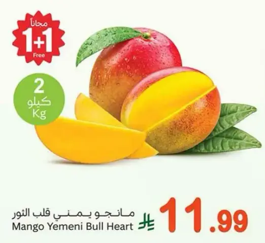 مانجو يمني قلب الثور