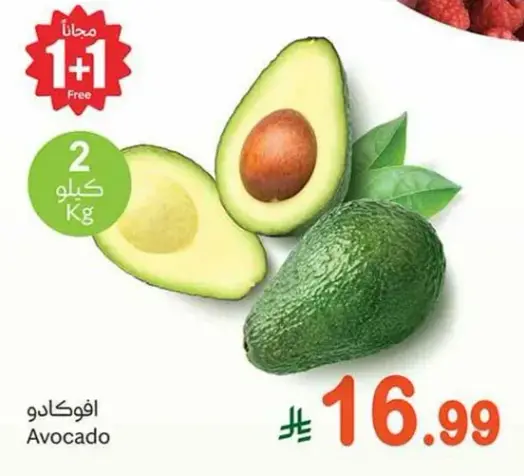 افوكادو