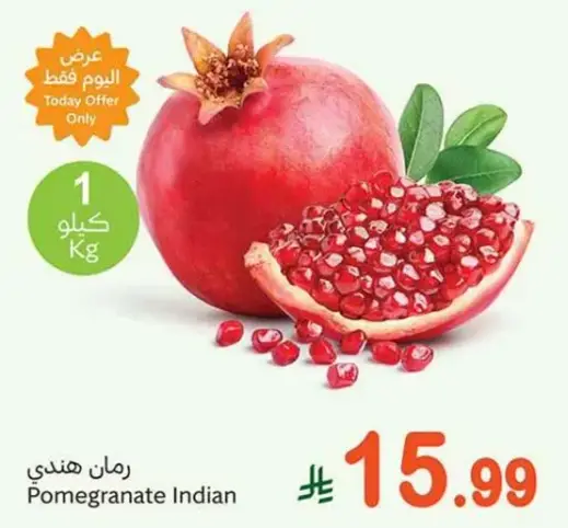 رمان هندي