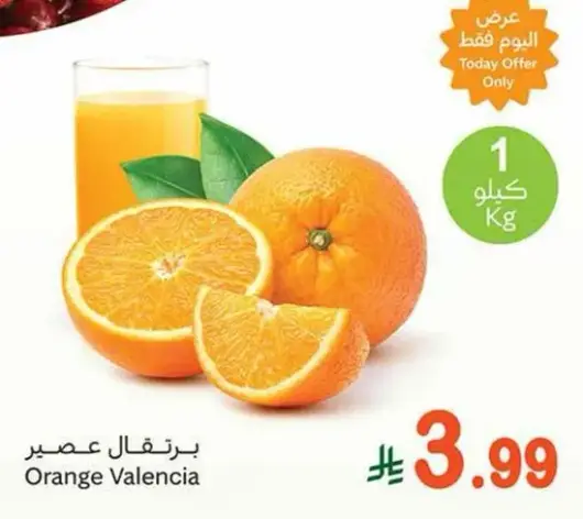 برتقال فالنسيا