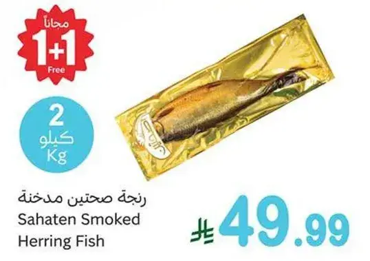 زنجه صحنتين مدخنه