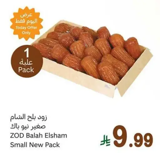 زود بلح الشام صغير