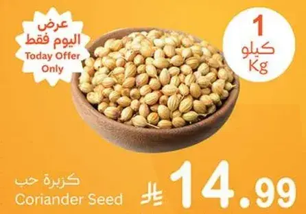 كزبره حب