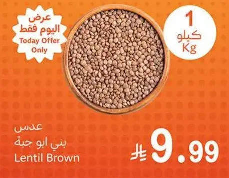 Brown Lentils