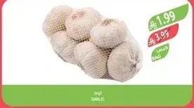 Garlic bag.