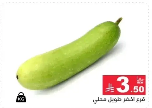 قرع اخضر طويل محلي