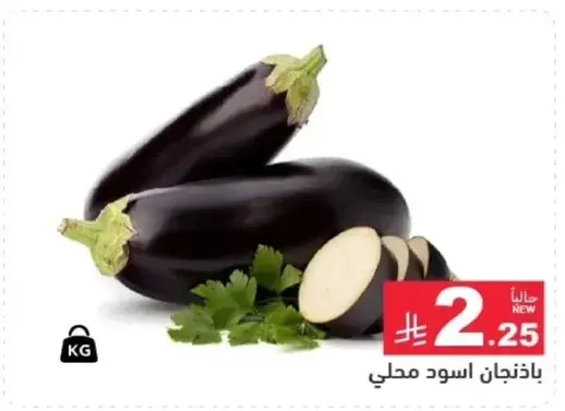 باذنجان اسود محلي