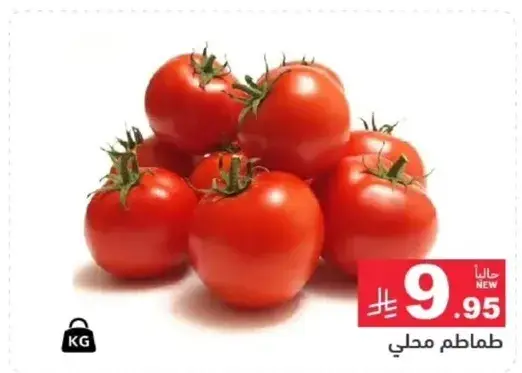 طماطم محلي