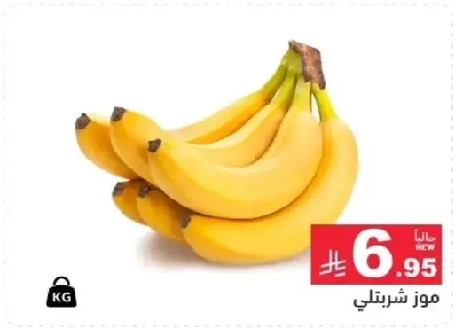 موز شيرتلي