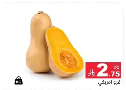 قرع امريكي.