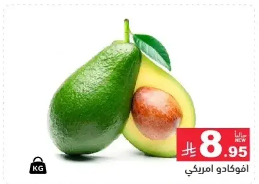 افوكادو امريكي