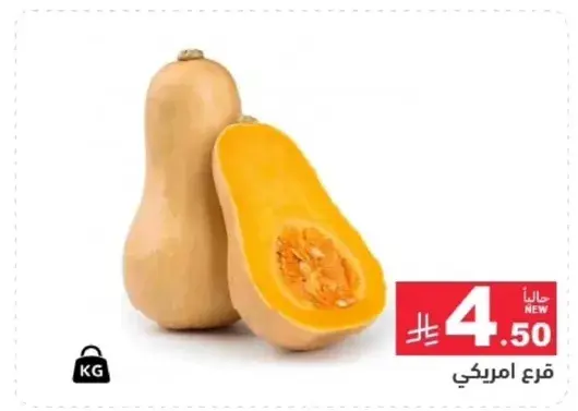 قرع امريكي