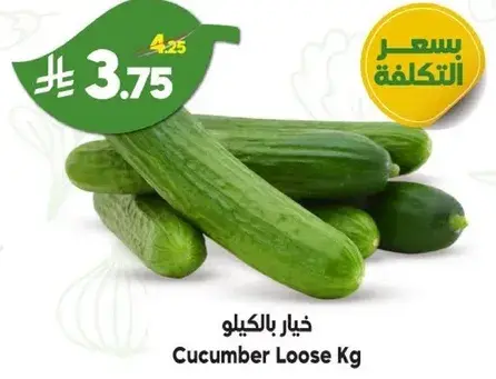 خيار بالكيلو