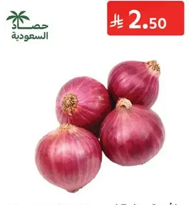 بصل - بالكيلو