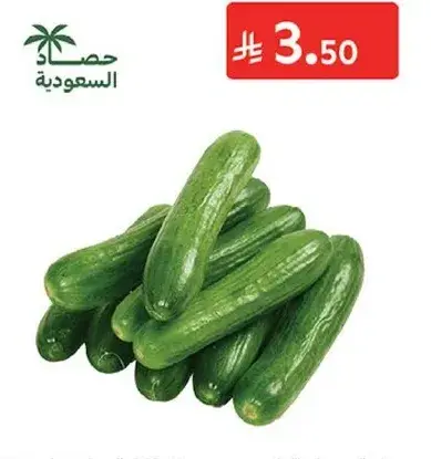 خيار