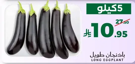 باذنجان طويل