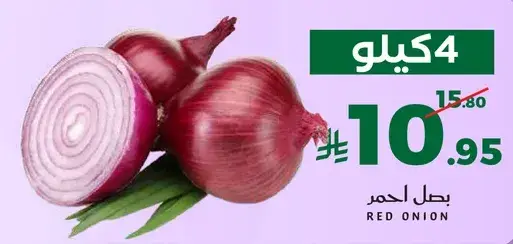 بصل احمر