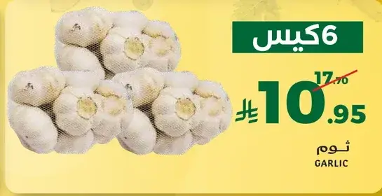 ثوم