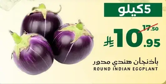 باخنجان هندي مدور