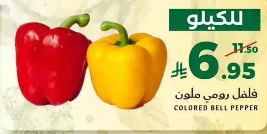 فلفل رومي ملون