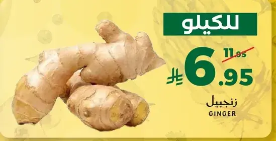 زنجبيل