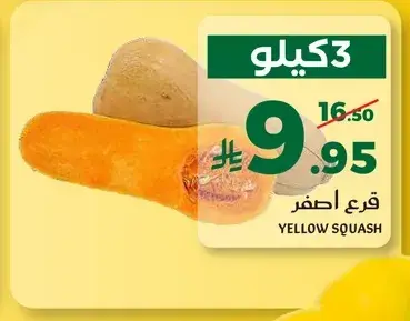 قرع اصفر