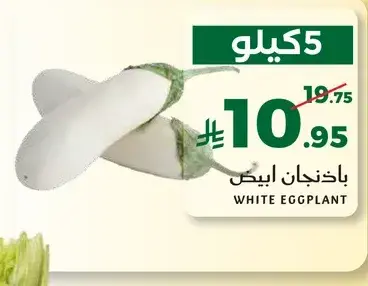 باخنجان ابيض