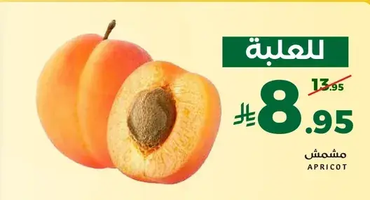 مشموش