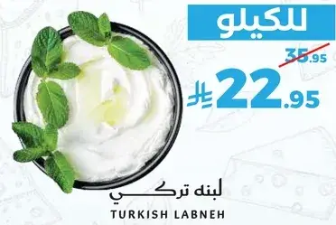 لبنه تركي