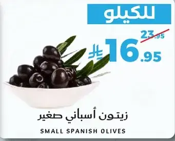 زيتون اسباني صغير