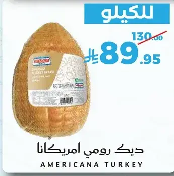 ديك رومي امريكانا