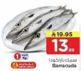 Barracuda fish, fresh, 1 Kg.