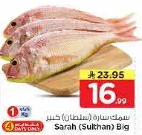 Sarah (Sulthan) Big fish, fresh, 1 Kg.