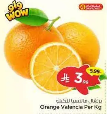 برتقال فالنسيا للكيلو