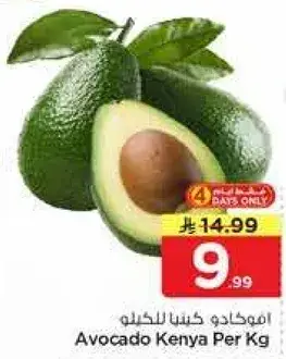 Avocado Kenya Per Kg