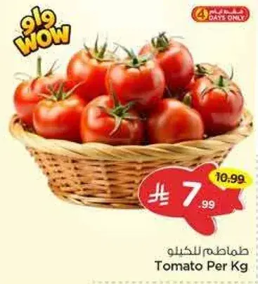 Tomato Per Kg