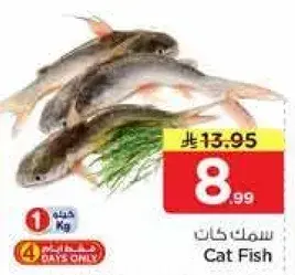 Cat Fish