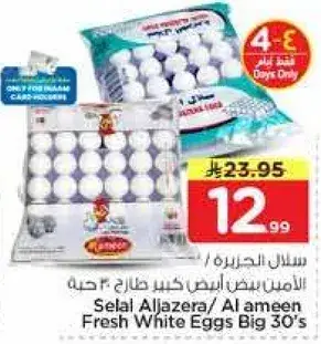 سلل الجزيره بيض ابيض كبير 30 حبه