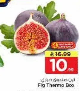 تين صلدوف حراي