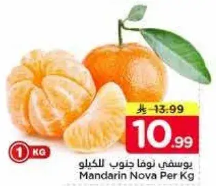 يوسفي نوفا الكيلو