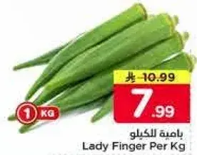 باكيت ليدي فينجر الكيلو