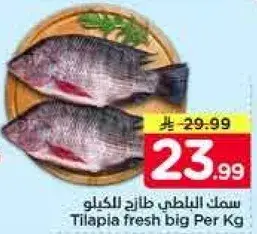 سمك البلطي طازج كبير الكيلو