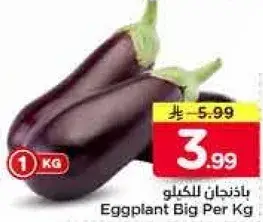 باذنجان كبير للكليو