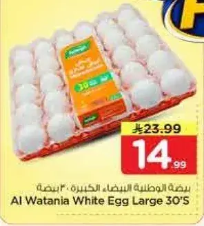 بيض وطني كبير 30 حبه