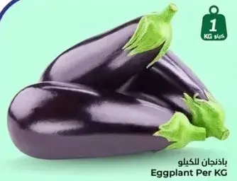 Eggplant Per KG