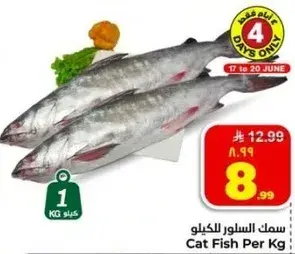 Cat Fish Per Kg