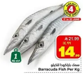 Barracuda Fish Per Kg