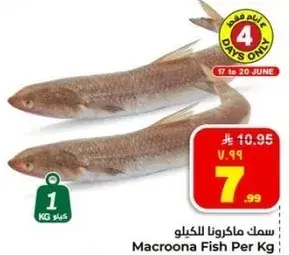 Macroona Fish Per Kg