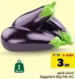 Eggplant Big Per KG